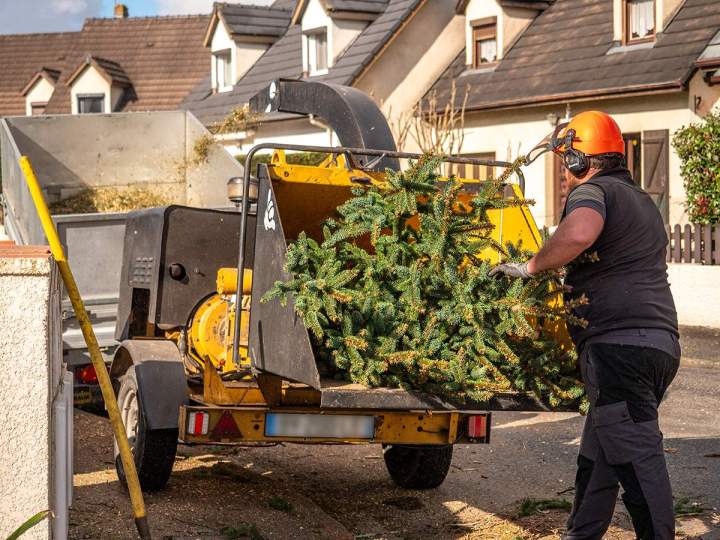 Service de broyage de végétaux efficace et rapide