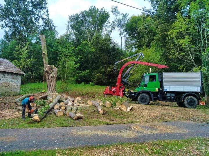 Élagage d'arbres dans la commune de Billère<br/>Élagage d'arbres à Billère<br/>Élagage d'arbres pres de Billère