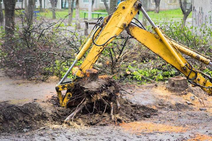 Une équipe bien formée pour réaliser un dessouchage rapide